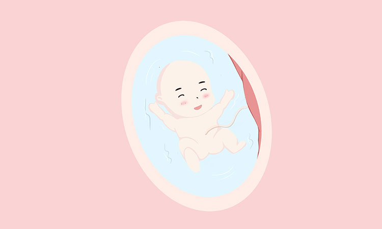圖片關鍵詞